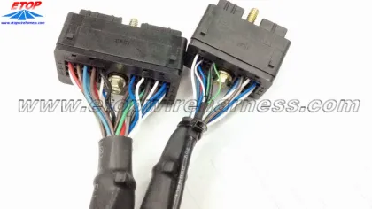 Complicated wire assembly for motorboat