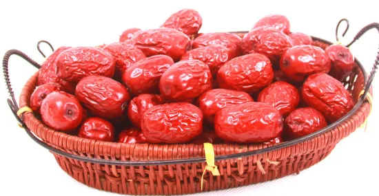 Best fresh dried red dates for sale