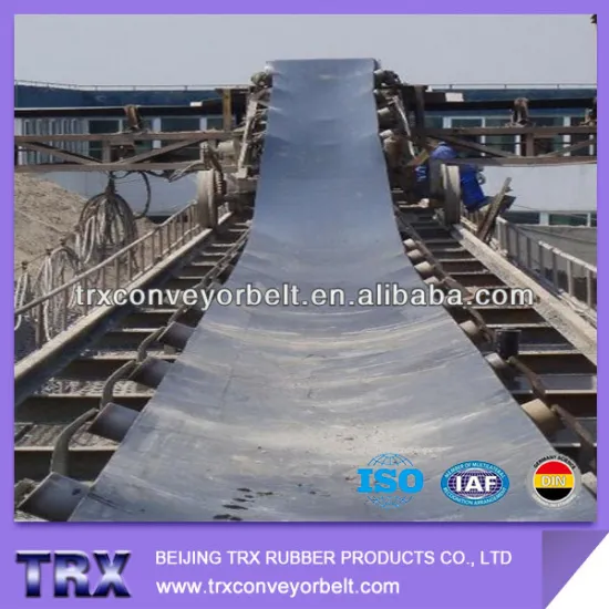 Easy Maintenance Nylon Flat Conveyor Belt