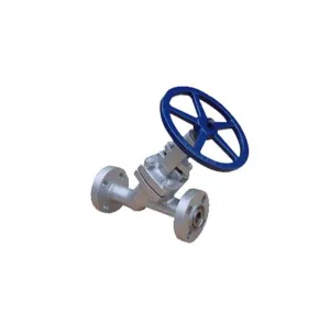 Cast Steel Globe Valves Y Type
