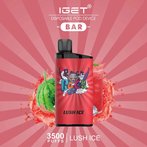 IGET Bar 3500 Puffs Vape Online Wholesale Shop