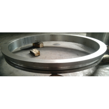 Anneau de guidage de forgeage en acier inoxydable