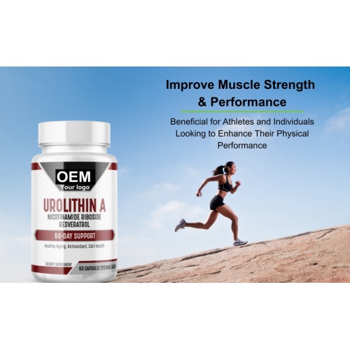 Private Label Urolithin A Capsules for Energy Supplement