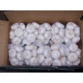 Нормальный белый. 2021 New Crop FRESHGARLIC NORMALWHITE 5.5cm 10kg/carton gradeaqualit.