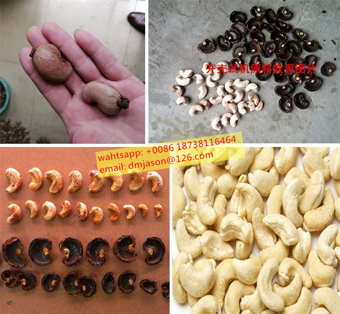 Affordable Cashew Shelling Machine and Processing Line