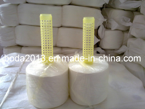 100 % Raw White Polyester Yarn for Sewing Machine Plastic Cone