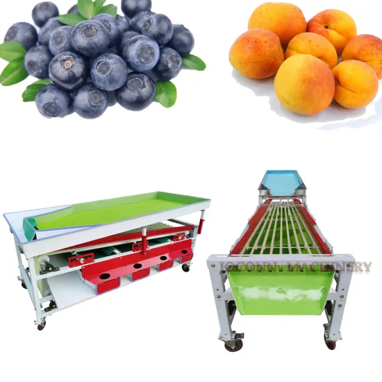 Fruit Sorting and Grading Machine for Tomatoes, Avocados, Citrus, Cherries, Blueberries, and Mangosteens