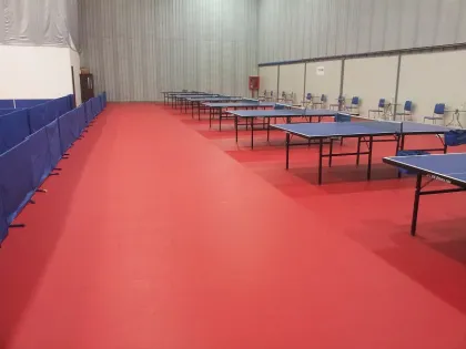 High end ITTF Table Tennis Flooring 7.0mm Pro