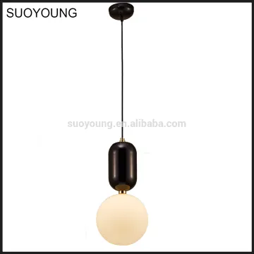 Modern Interior Decorative Chandelier Pendant Lamps MD8085-1S