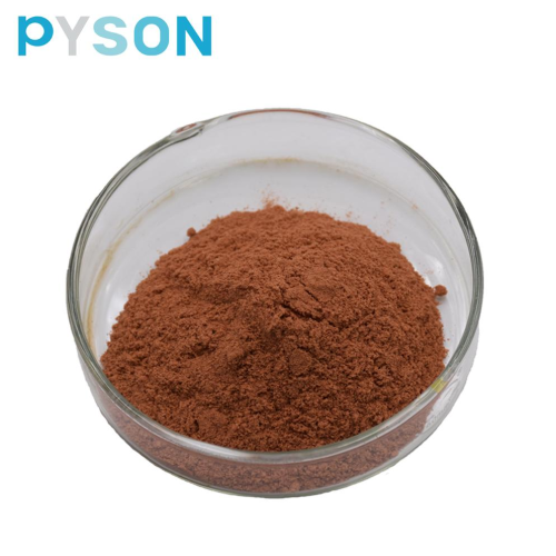 Cinnamon Bark Extract (30% polyphenols UV)