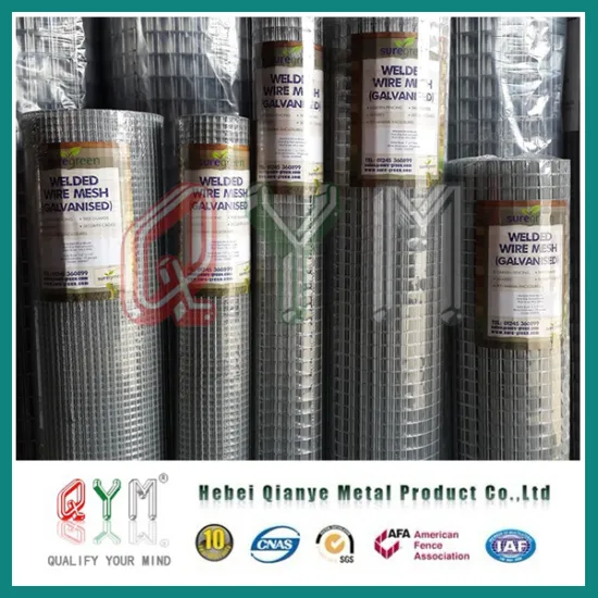 2X2 Welded Wire Mesh Roll / Stainless Steel Wire Mesh