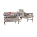 ​Leafy vegetable Washing and Cutting Line