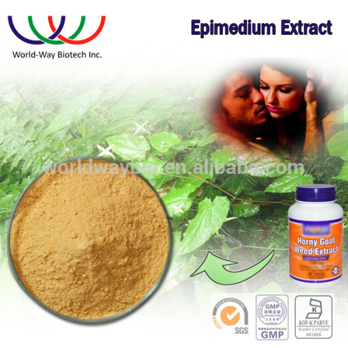 Epimedium extract Icariin powder free sample HACCP Kosher FDA horny goat weed powder icariin 20% 40% 60% 80% 98%