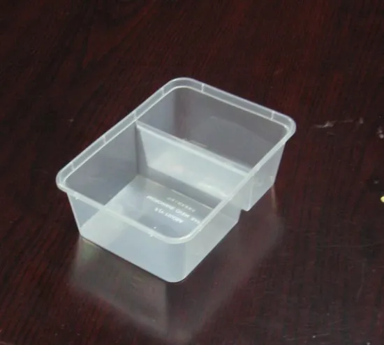 PP Material Multiple Grid Plastic Box Products Mould