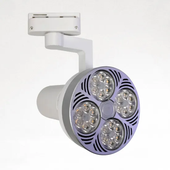 2021 New LED Lighting: Recessed LED E27 Track Spot Light PAR30 Bulb Downlight Housing