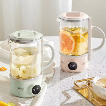 Multifunctional household health pot
