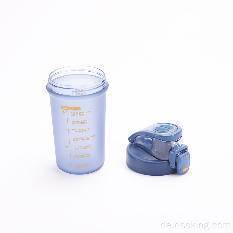 500 ml Wasserflasche mit Strohflasche Sport Cup mit Deckel und Stroh bunte Plastik -PP -Flaschen