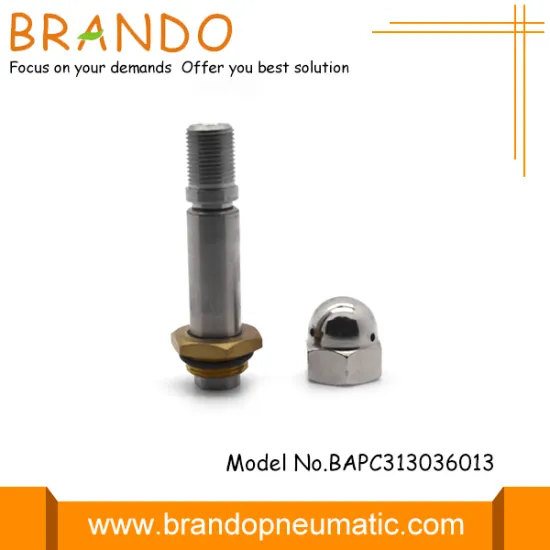 Pulse Jet Solenoid Valve Armature Plunger Core