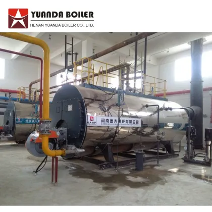 2t/h Natural Gas Steam Boiler for Dairy Industry