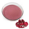 Pomegranate Seed Powder/Pomegranate Seed Extract