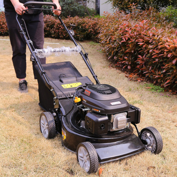 Gasoline-Powered Lawn Mower and Shrub Cutter