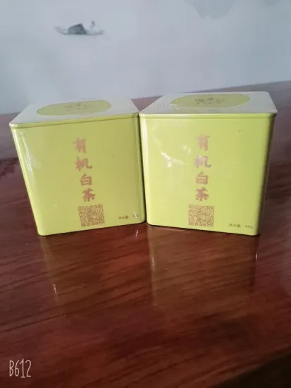 Green can of organic white tea