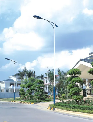 Single Head Road Light