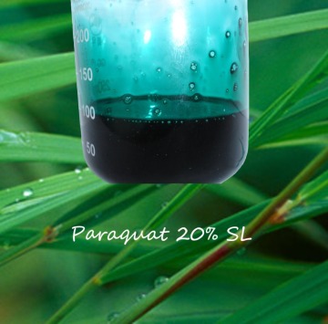 Weed Killer Herbicides & Weedicides Paraquat 200g/L SL
