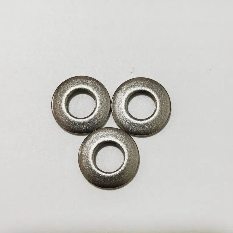 High Quality Ruiqin DIN6796 SS304 Belleville Spring Washer