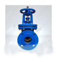 DIN F5 Rising Gate Valve