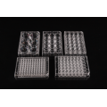 TC-Treated 12 well Cell Culture Plates