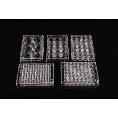 TCTreated 48 well Cell Culture Plates China Manufacturer