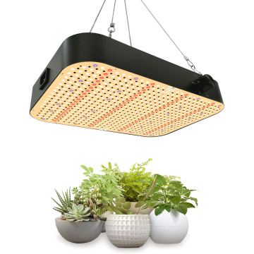 260W High Quality SMD3030 LED Grow Light for Indoor Plants