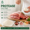 Enzima proteasa para hidrólisis de proteínas y producción de péptidos