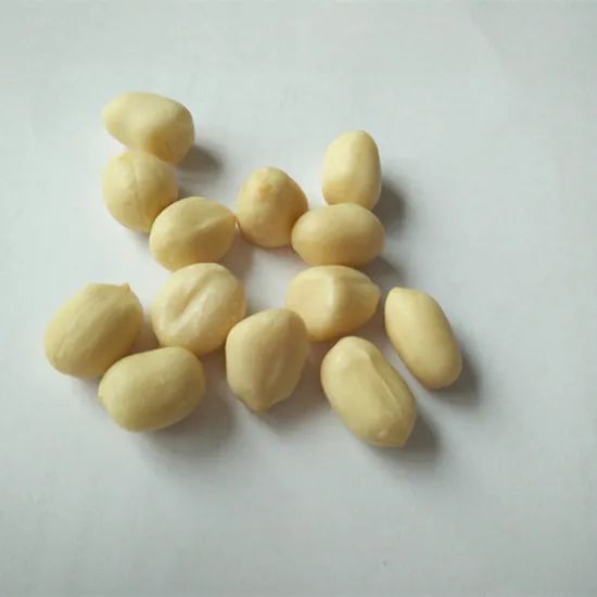 China new crop blanched peanut kernels for sale
