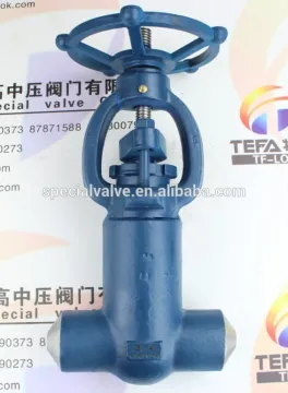 carbon steel double weld end needle valve