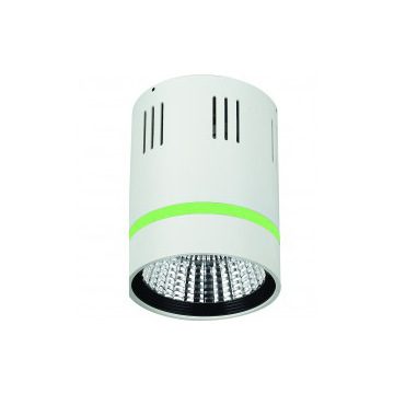 17W 22W 42W 12W surface mounted COB downlight with color cricle