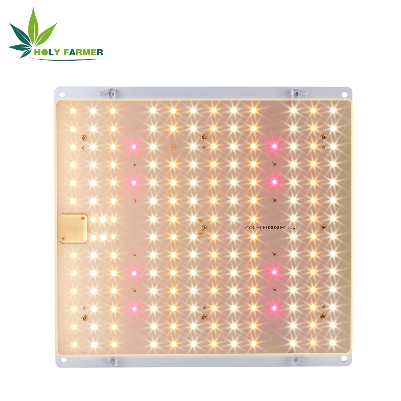 100wledgrowlight6