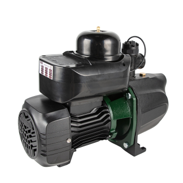 Self-Priming Garden Pump: JSW/JSP Series Cast Iron Electric Motor for Irrigation
