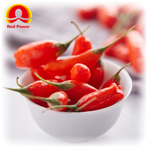 Red Power QIZITO fresh wolfberry wolfberry dryer wolfberry ningxia