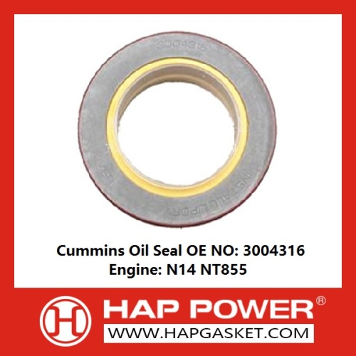 Industry Oil Seal 3004316