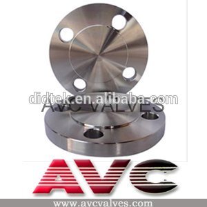 AVC Blind Flange,Forged,STAINLESS STEEL