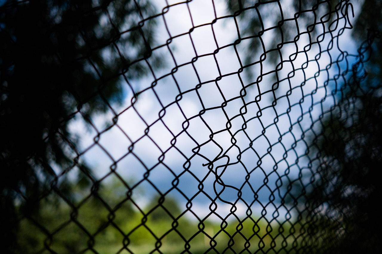 Hexagonal fence4