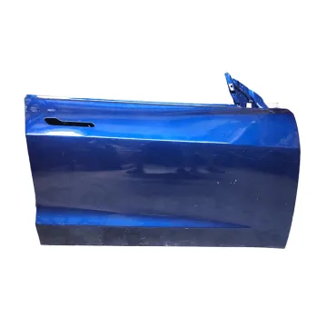 Auto Parts Accessories 1081441-E0-C-P Car Door for Tesla Model 3