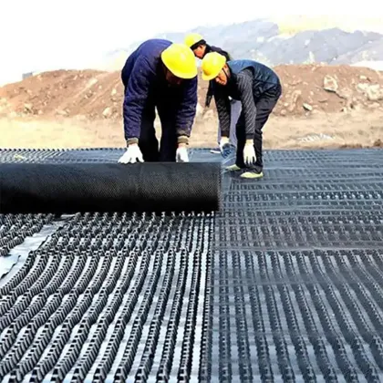 1000g Dimple Waterproof Drainage Board Mat HDPE Drainage Solution