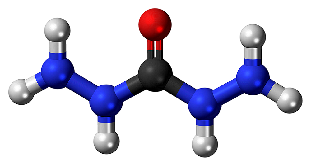 Đối với xử lý nước Giá carbohydrate thấp