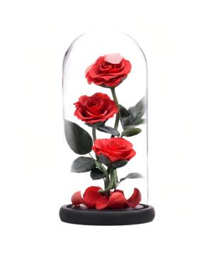 Eternal 3 Preserved Single-Color Roses Glass Dome