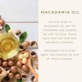 Oil de Macadamia de Macadamia Natural Pure Natural de Top Wholese Bulk Bulk