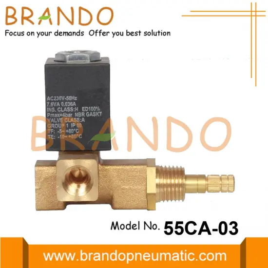 1/8'' Coal Gas Brass Solenoid Valve 24V 220V