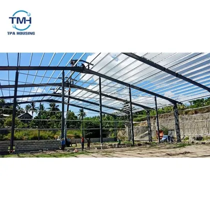 Latest Stylish Painting Light Steel House Design